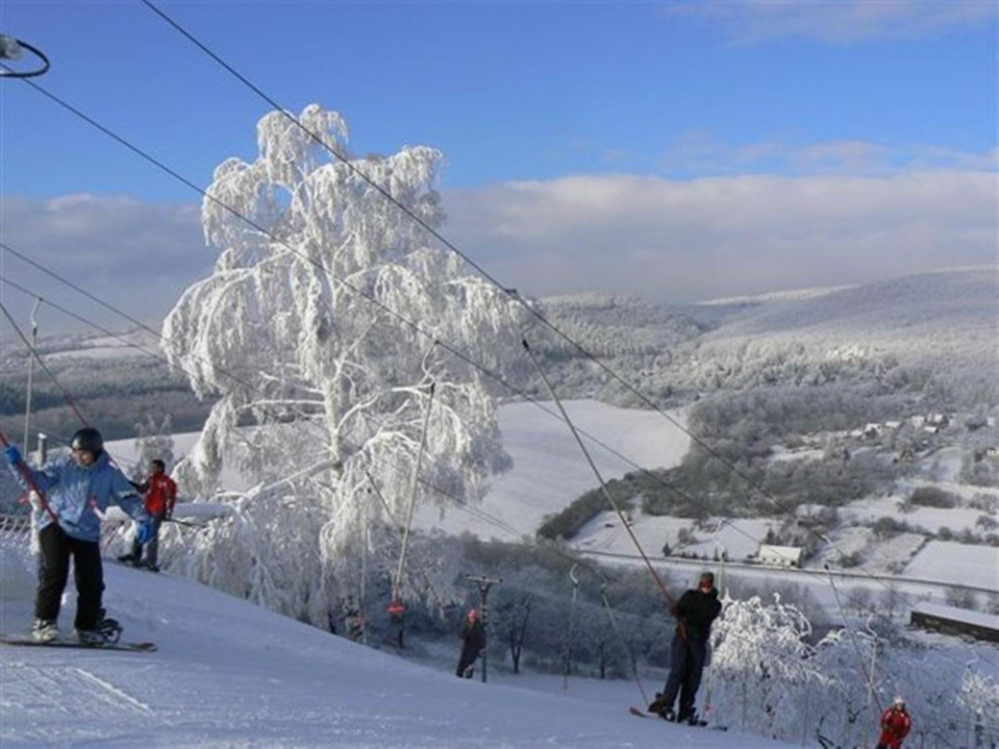 Penzion Malovany Osvetimany Extérieur photo